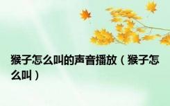 猴子怎么叫的声音播放（猴子怎么叫）