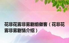 花非花雾非雾剧组做客（花非花雾非雾剧情介绍）