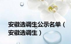 安徽选调生公示名单（安徽选调生）