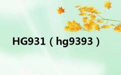 HG931（hg9393）