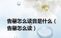 告罄怎么读音是什么（告罄怎么读）