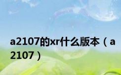 a2107的xr什么版本（a2107）