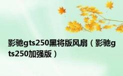 影驰gts250黑将版风扇（影驰gts250加强版）
