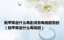 赵甲第是什么电影或者电视剧里的（赵甲第是什么电视剧）