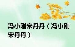 冯小刚宋丹丹（冯小刚宋丹丹）
