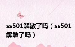 ss501解散了吗（ss501解散了吗）