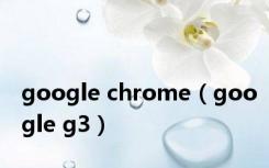 google chrome（google g3）