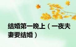 结婚第一晚上（一夜夫妻要结婚）