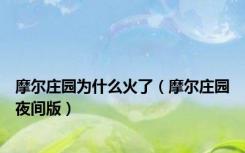 摩尔庄园为什么火了（摩尔庄园夜间版）