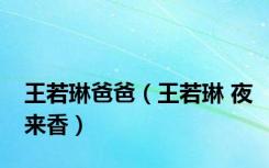 王若琳爸爸（王若琳 夜来香）