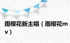 雨樱花新主唱（雨樱花mv）