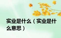 实业是什么（实业是什么意思）