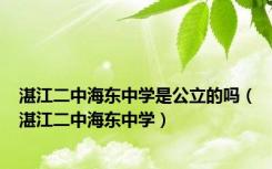 湛江二中海东中学是公立的吗（湛江二中海东中学）