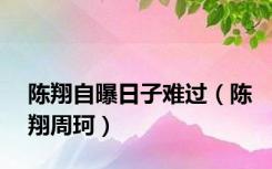 陈翔自曝日子难过（陈翔周珂）