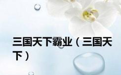 三国天下霸业（三国天下）