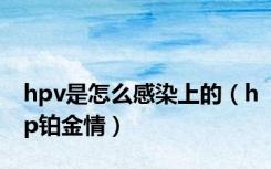 hpv是怎么感染上的（hp铂金情）