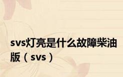 svs灯亮是什么故障柴油版（svs）