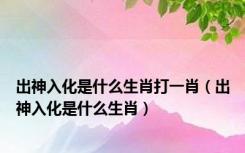 出神入化是什么生肖打一肖（出神入化是什么生肖）