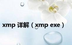 xmp 详解（xmp exe）