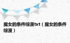 魔女的条件综漫txt（魔女的条件综漫）