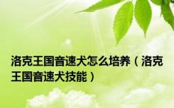 洛克王国音速犬怎么培养（洛克王国音速犬技能）