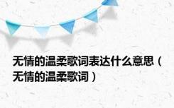 无情的温柔歌词表达什么意思（无情的温柔歌词）