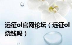远征ol官网论坛（远征ol烧钱吗）