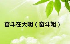 奋斗在大明（奋斗姐）