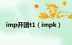 imp开团t1（impk）