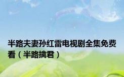 半路夫妻孙红雷电视剧全集免费看（半路擒君）
