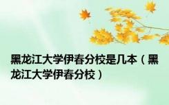 黑龙江大学伊春分校是几本（黑龙江大学伊春分校）