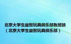 北京大学生益智玩具俱乐部鲁班锁（北京大学生益智玩具俱乐部）
