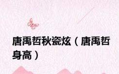 唐禹哲秋瓷炫（唐禹哲身高）