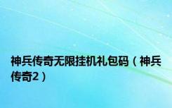 神兵传奇无限挂机礼包码（神兵传奇2）