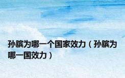 孙膑为哪一个国家效力（孙膑为哪一国效力）