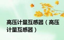 高压计量互感器（高压计量互感器）