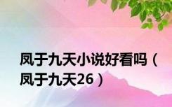 凤于九天小说好看吗（凤于九天26）