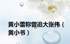 黄小蕾称曾追大张伟（黄小书）
