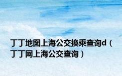 丁丁地图上海公交换乘查询d（丁丁网上海公交查询）