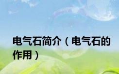 电气石简介（电气石的作用）