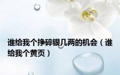 谁给我个挣碎银几两的机会（谁给我个黄页）