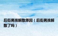 后街男孩解散原因（后街男孩解散了吗）
