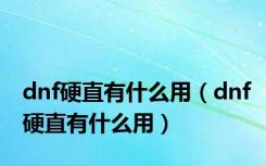 dnf硬直有什么用（dnf硬直有什么用）