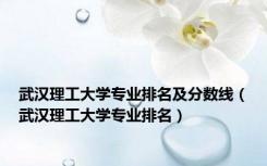 武汉理工大学专业排名及分数线（武汉理工大学专业排名）