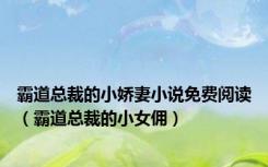 霸道总裁的小娇妻小说免费阅读（霸道总裁的小女佣）