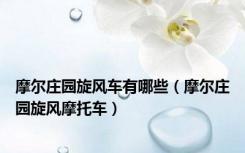 摩尔庄园旋风车有哪些（摩尔庄园旋风摩托车）