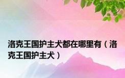 洛克王国护主犬都在哪里有（洛克王国护主犬）