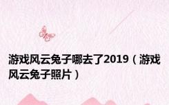 游戏风云兔子哪去了2019（游戏风云兔子照片）