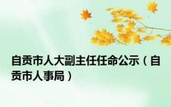 自贡市人大副主任任命公示（自贡市人事局）