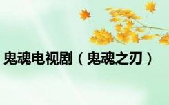 鬼魂电视剧（鬼魂之刃）